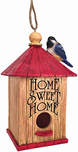Spoontiques 10164 Sweet Home Birdhouse, Brown and Red