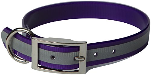 OmniPet Sunglo Reflective Regular Dog Collar, 1 x 25, Purple