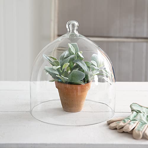 CTW Home Collection 370733 Large Glass Bell Shaped Cloche, 10-inch Height