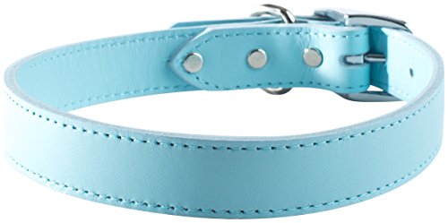 OmniPet Signature Leather Pet Collar, Baby Blue, 1 by 26"