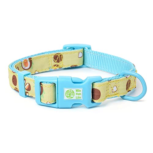 Mile High Life | Natural Wild Flower Collection | Soft Poly Cotton Fabric | Girl Dog Collars (Coconut, Collar -XS)