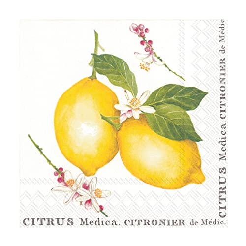 Abbott Collection  89-LPN-DP-9290 Luncheon Lemon Citrus Medica Napkin. 20 Pack, 6.5"SQ, White/Yellow
