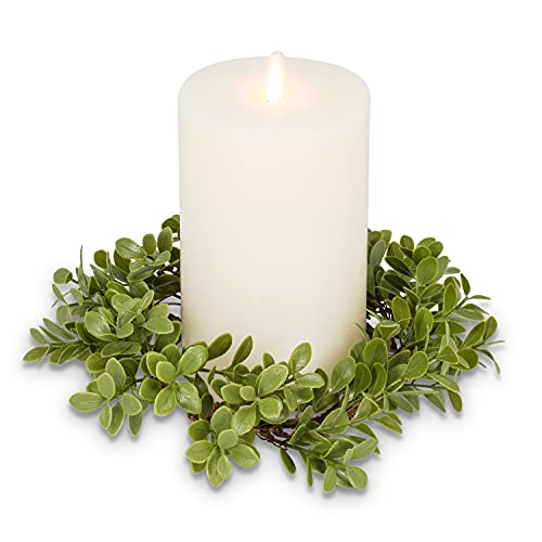 Abbott Collection  27-BOXWOOD-573 Boxwood Candle Ring, Green