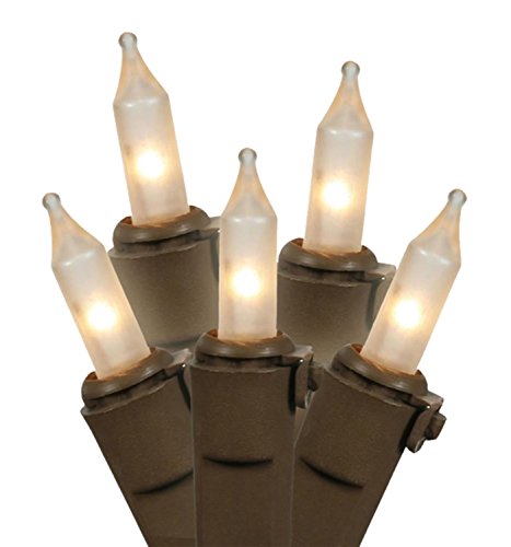 Vickerman Set of 100 Clear Frosted Mini Christmas Lights - Brown Wire