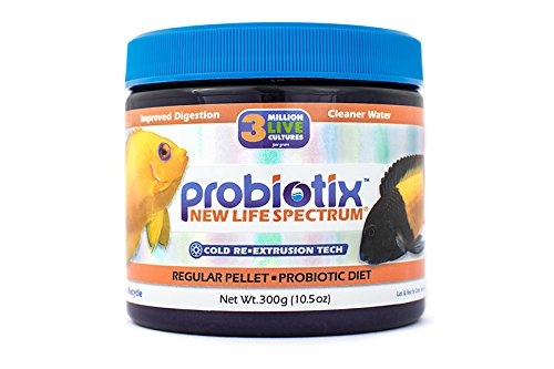 New Life International Probiotix Regular 300g (Naturox Series)