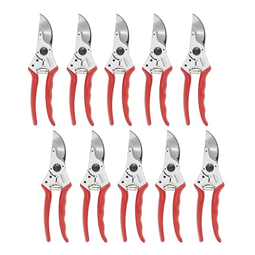 Zenport QZ411 Narrow Head Professional Pruner, 1-Inch Cut, 8.25-Inch Long