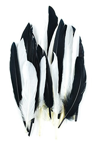 Midwest Design Touch of Nature 24-Piece Mini Indian Feathers for Crafting, 3-Inch, Black/White Mix
