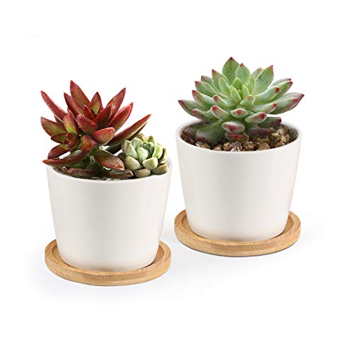 T4U Small 3.3 Inch White Succulent Planter Pots with Bamboo Tray - Round Ceramic Mini Succulents Pots with Drainage Pack of 2 - Modern Geometric Cactus Holder Container Office Desk Decoration Gift