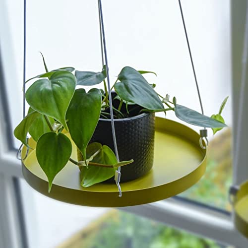 Esschert Design Round Hanging Tray, Metal, Gold, Large