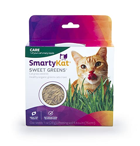 Worldwise SmartyKat Sweet Greens Cat Grass Kit- 1 Oz