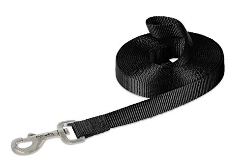 Lupine Pet Basics 3/4" Black 15-Foot Extra-Long Training Lead/Leash for Medium and Larger Dogs