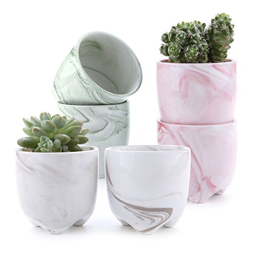 T4U 2.25"Ice Cream Serial Modern Sucuulent Cactus Plant Pots Flower Pots Planters Containers Window Boxes with Small Hole Set of 6