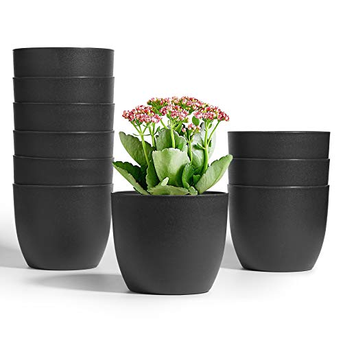 T4U Self Watering Planters Plastic 5 Inch Black Set of 10, Plant Flower Pot Modern Decorative Seeding Nursery Pots Outdoor Indoor Garden for All House Plants Flowers Herbs African Violets