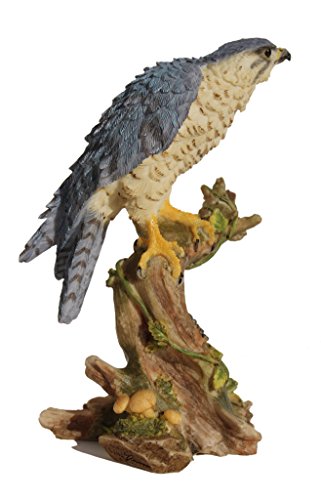 Unicorn Studio 5.25 Inch Peregrine Falcon on Branch Decorative Figurine, Gray and Tan