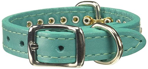 OmniPet Signature Leather Crystal and Leather Dog Collar, 10", Jade