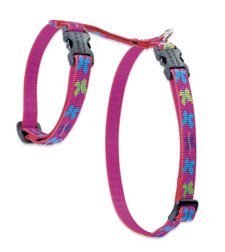 Lupine Pet Originals 1/2" Wing It 12-20" H-style Harness for Small Pets