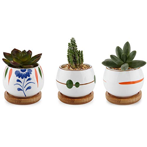 T4U 2.75 Inch Ceramic Succulent Planters with Tray - Set of 3, Small Succulent Pots Cactus Planter Window Boxes with Saucer Decor