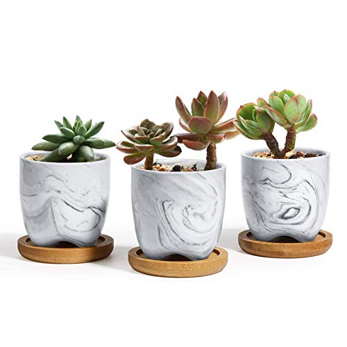 T4U 2.5 Inch Small Grey Ceramic Succulent Planter Pots with Bamboo Tray Set of 3, Marble Glazed Porcelain Handicraft as Gift for Mom Sister Best for Home Office Restaurant Desk Windowsill Decoration