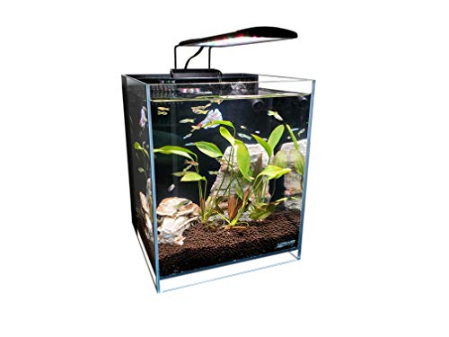 Lifegard Aquatics LIFEGARD Low Iron Ultra Clear Crystal Aquarium with Built in Filter ‚Äö√Ñ√¨ Rimless Glass, Beveled Edge, Elevated Style ‚Äö√Ñ√¨ Direct Jet Flow ‚Äö√Ñ√¨ 5 GPH