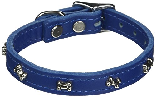 OmniPet Signature Leather Dog Collar with Bone Ornaments, Blue, 12"