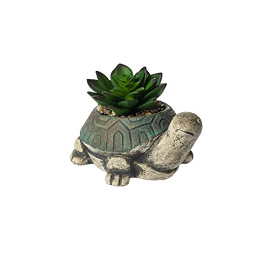 Ganz ER69608 Turtle Figurine with Succulent, 6-inch Width