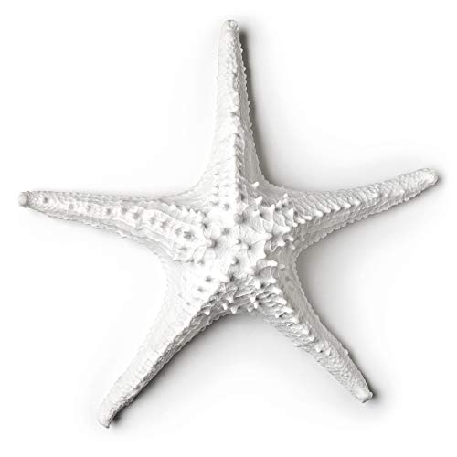 Abbott Collection  3D Starfish, White (Large)