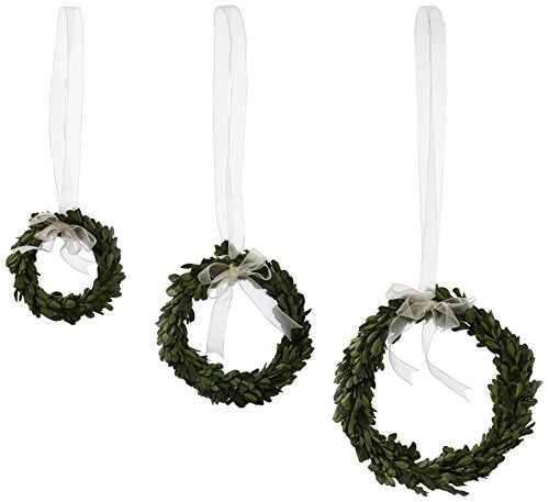Napa Home & Garden Preserved Boxwood Preserved Boxwood Wreath with White Ribbon, Set of 3
