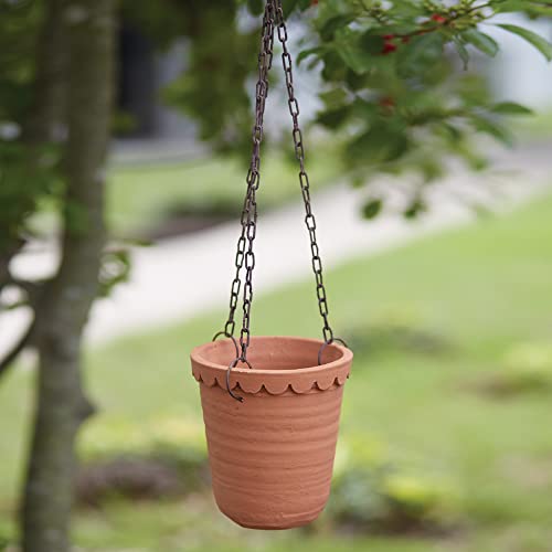 CTW 460360 Chihuahuan Hanging Terra Cotta Planter, 7-inch Height