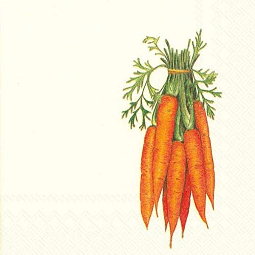 Boston International Ideal Home Range 20-Count 3-Ply Paper Cocktail Napkins, Carrots