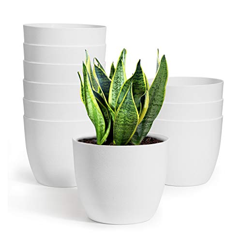 T4U Self Watering Planters Plastic 6 Inch White Set of 10, Plant Flower Pot Modern Decorative Seeding Nursery Pots Outdoor Indoor Garden for All House Plants Flowers Herbs African Violets