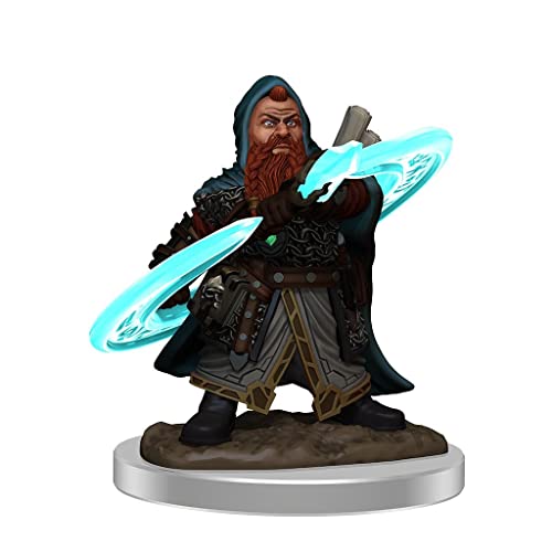 WizKids Store NECA Pathfinder Battles Premium Painted Figure: W3 Male Dwarf Sorcerer