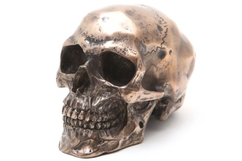 Pacific Trading Giftware PTC 3.25 Inch Small Bronze Finish Skeleton Skull Statue Figurine