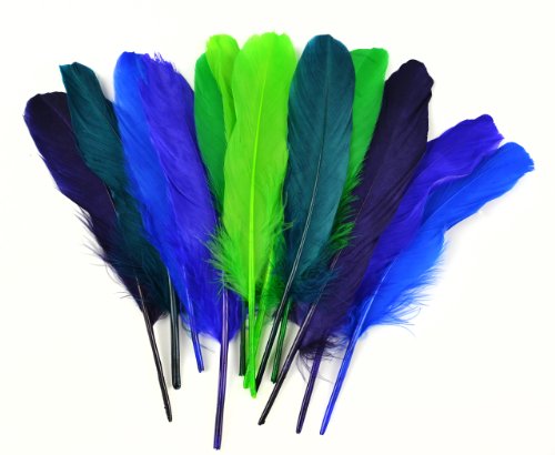 Midwest Design Touch of Nature 12-Piece Goose Wing Rounds for Crafting, 7 to 8-Inch, Multicolor