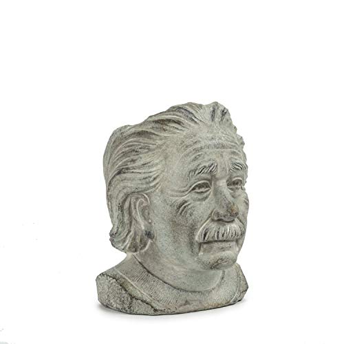 Abbott Collection  27-EINSTEIN-202-SM Small Einstein Head Planter, Grey