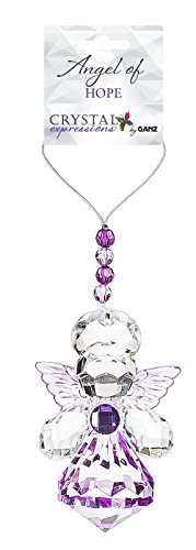 Ganz Crystal Expressions Angel Ornament