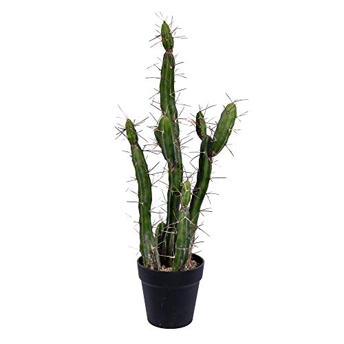 Vickerman Everyday 24" Indoor Artificial Green Cactus - Black Plastic Pot - Decorative Lifelike Cactus Of Durable Polyester Greenery For Home Or Office - Maintenance Free