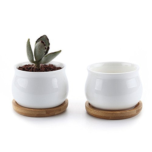 T4U Mini Succulent Pots White with Bamboo Trays - Ceramic Succulent Planters Indoor Jars with Drainage -Small Plant Cactus Holder Container Set of 2 - Home Office Desk Decoration Gift for Gardener