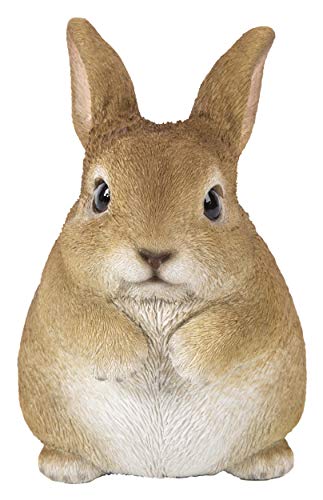 Hi Line Gift 87685-C Chubby Rabbit Standing