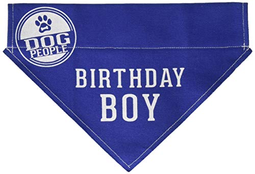 Pavilion - Birthday Boy - Blue Large Dog Slip-On Collar Canvas Bandana