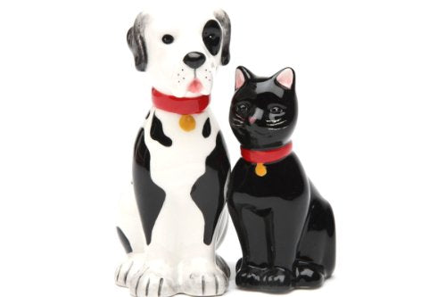 Pacific Trading Giftware Dog and Cat Good Friends Magnetic Ceremic Salt and Pepper Shakers