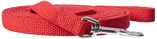 OmniPet Leather Brothers Web Lead for Pets, 10&