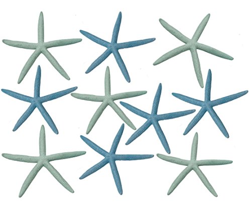 HS Seashells Natural Finger (Pencil) Starfish - 10 Extra Large 8-10" inches Pieces, Dyed Pastel Mix (Set of 10), Dried Blue and Green Color Star Fish by The Seashell Company