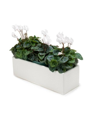Abbott Collection  13" X 5" White Ceramic Large Slim Long Planter Box Flower Pot