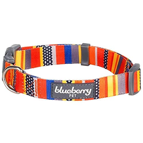 Blueberry Pet Summer Vacation Beach Nautical Flags Adjustable Dog Collar, Neck 7.5"-10", X-Small, for Puppy Boy Girl Dogs