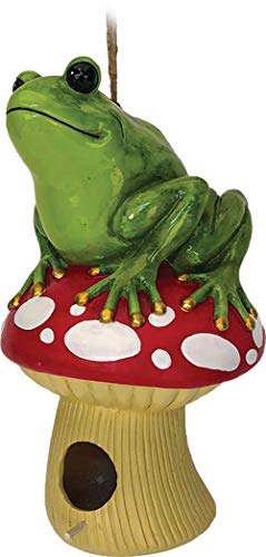 Spoontiques 10096 Frog on Musroom Birdhouse, Multicolored