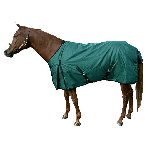 Intrepid International Free Runner Mid Weight Turnout Blanket, 71-Inch, Hunter Green