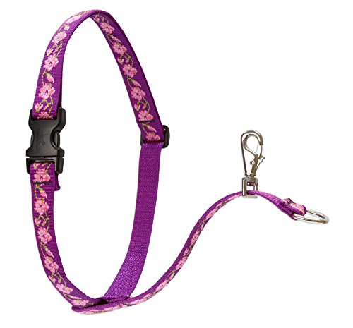 Lupine Pet Originals 1" Rose Garden 26-38" No Pull Harness for Medium-Larger Dogs