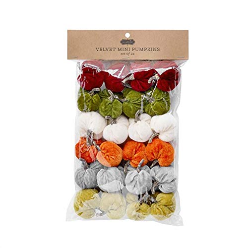 Mud Pie Velvet Mini Pumpkin Set, 2 1/2" x 2" Diameter, Multicolor