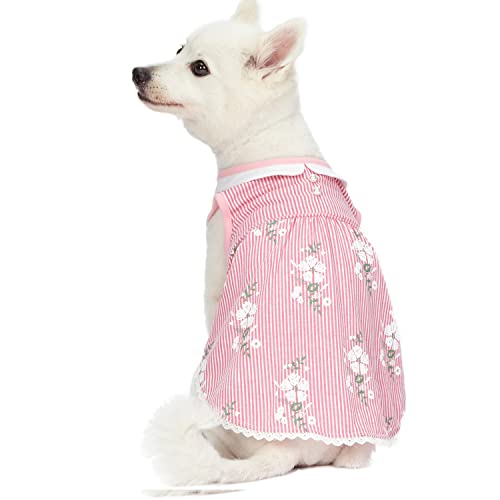 Blueberry Pet Wonderland Floral Sleeveless Dog Dress in Pink Stripe with Peter Pan Collar, Back Length 10", Pack of 1 Clothes for Dogs