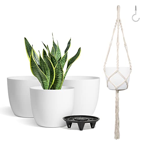 T4U 6 Inch Plastic Self Watering Pots with Macrame Plant Hangers, Set of 4 with 4 Ceiling Hooks Included, for All House Plants, Flowers, Herbs, Foliage Plants, African Violets